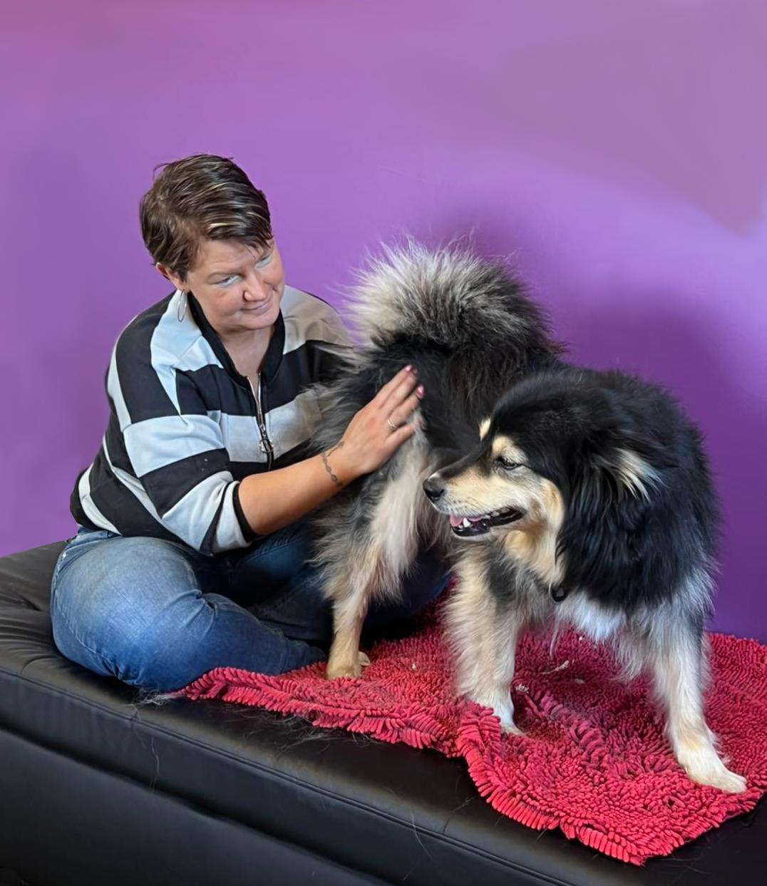 Hundemassage I HJ Hundesalon I unik behandling til din hund